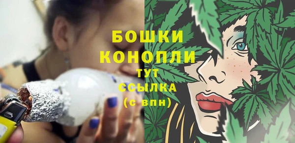 мет Карпинск