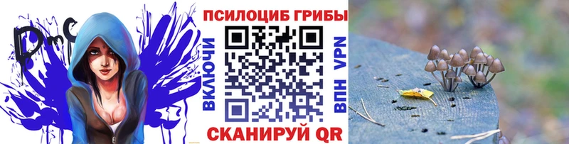 Купить где  Тара  Псилоцибиновые грибы Psilocybine cubensis 